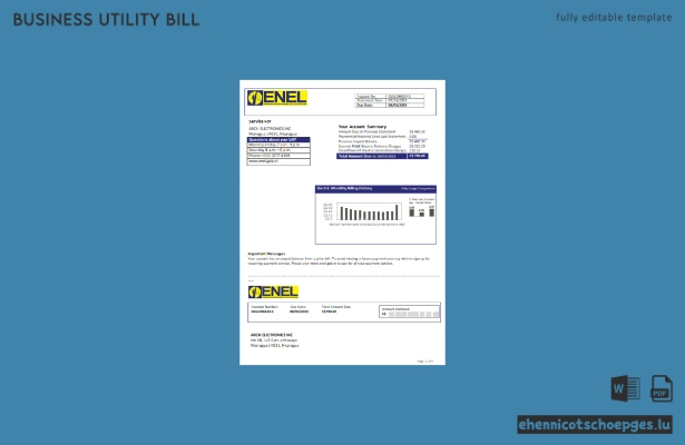 Beispiel einer Geschäftsrechnung des nicaraguanischen Elektrizitätsunternehmens ENEL